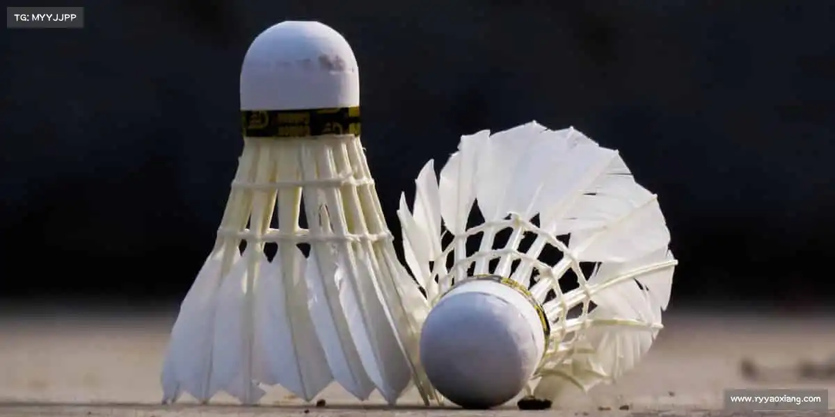 易游体育穿上跑鞋，世界就是你的健身房！🌍👟